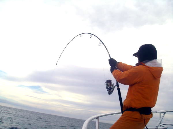 カーペンター BLC80／35 R－PM SC ブルーチェイサー