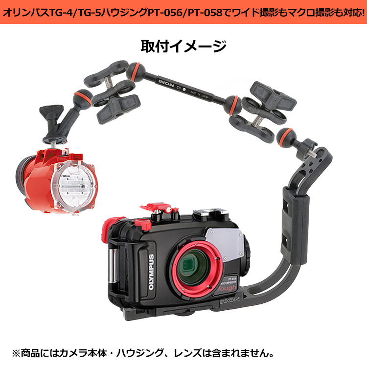 これから水中写真がもっと楽しくなる季節！ストロボをつけて水中写真を