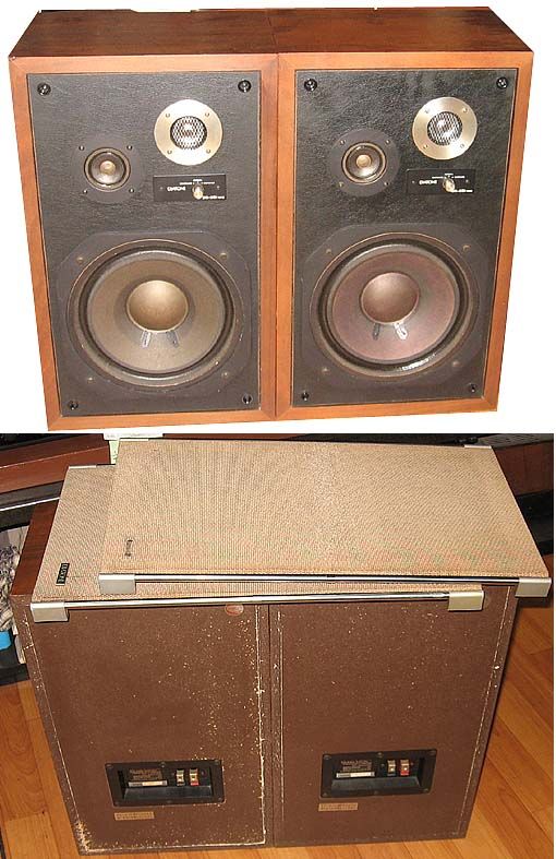 ダイヤトーン DIATONE DS-251mkII