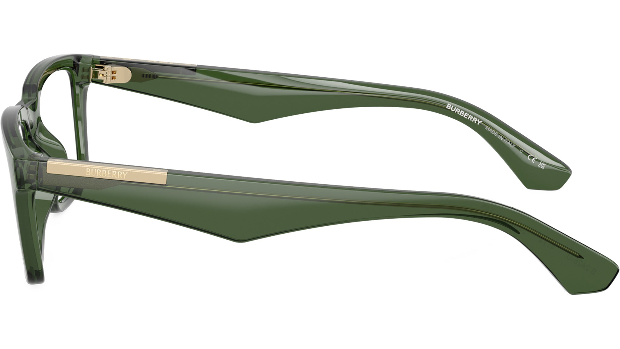 Burberry BE2428U Glasses 4174 Green - eye-oo.com
