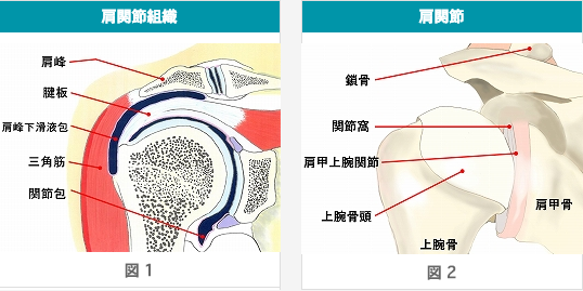 福岡みらい病院