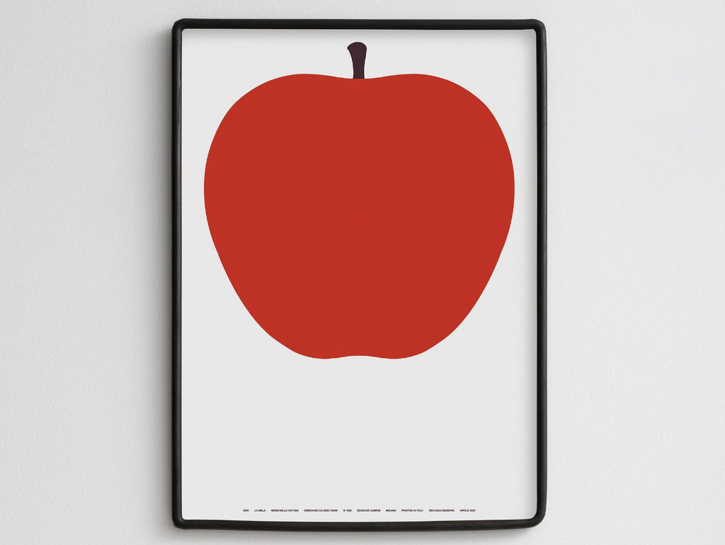 Serie Della Natura 50x70 | セリエデラナチュラ by Enzo Mari