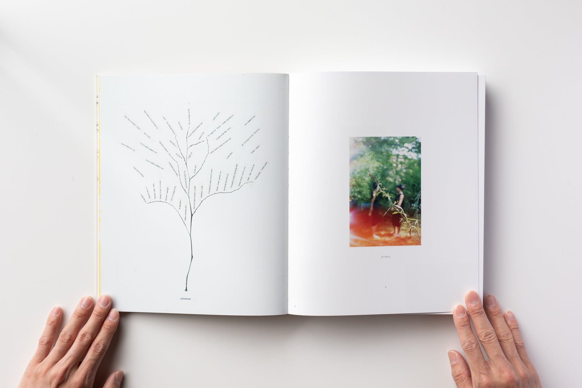 2X6A8724_ef9c5343-4c11-4170-