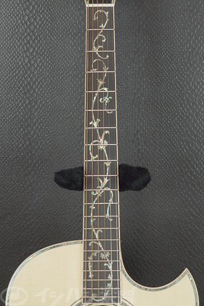 ASTURIAS】Tree of Life 緊急入荷！！【新宿店】 | イシバシ楽器