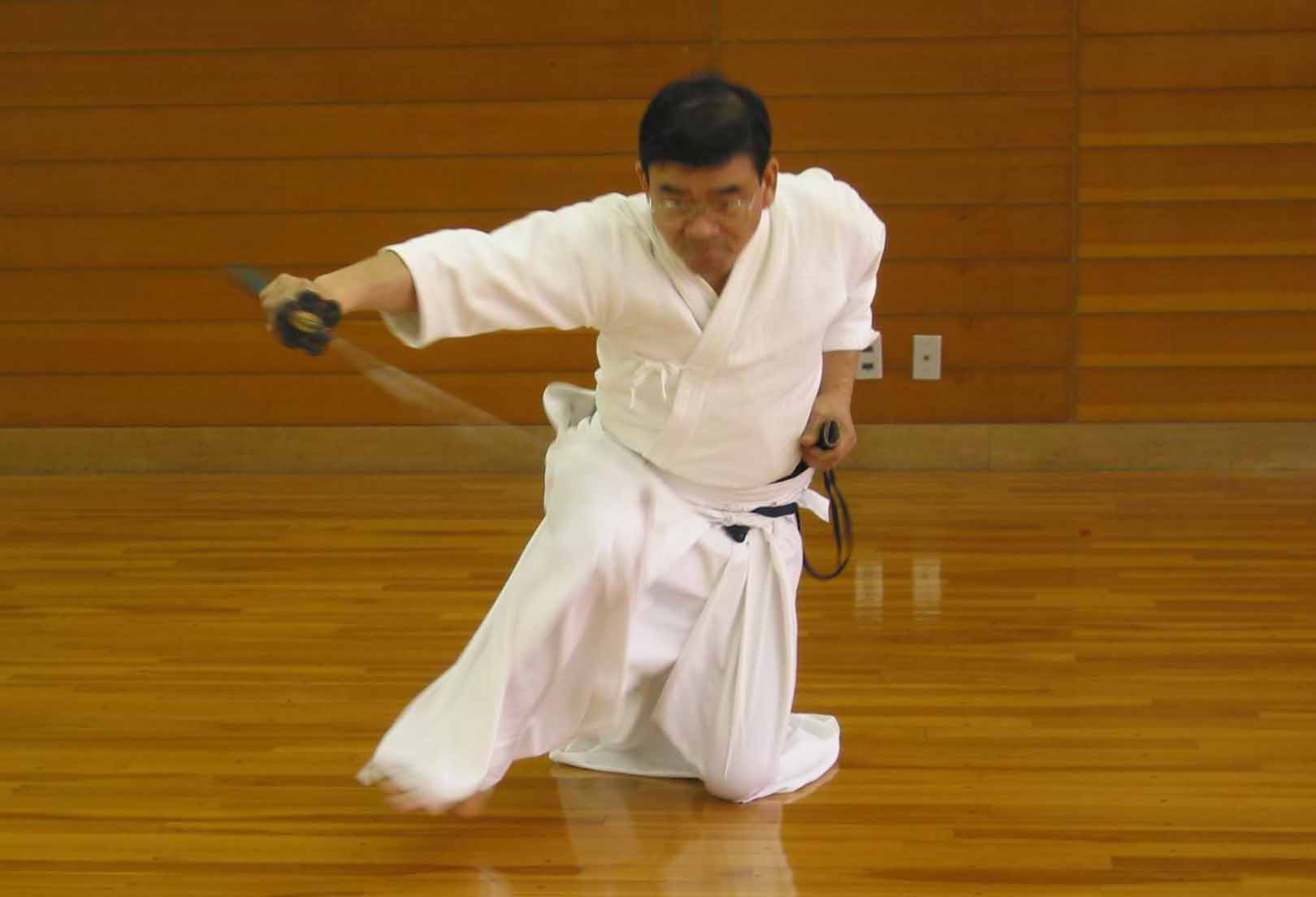 自剛天真流抜刀術について