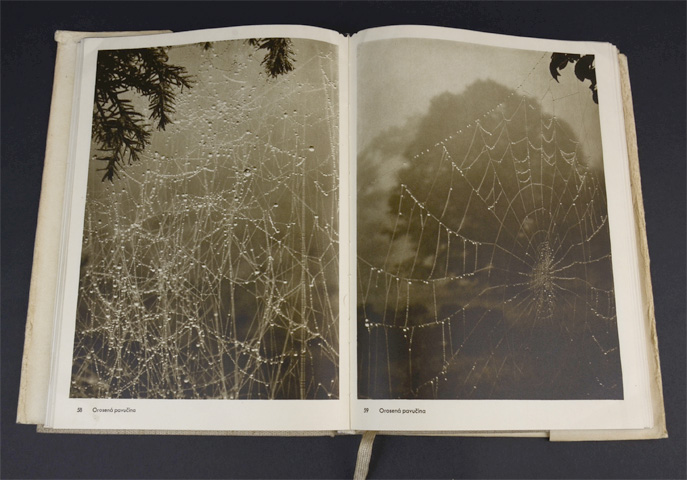 Josef Sudek Fotografie｜恵文社一乗寺店 オンラインショップ