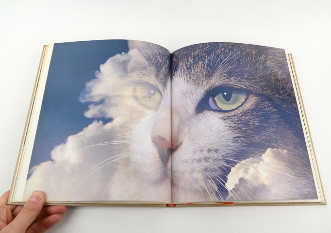 猫の麦わら帽子｜恵文社一乗寺店 オンラインショップ