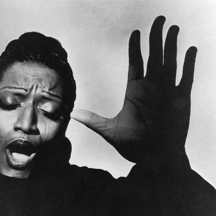 Irving Penn: Beyond Beauty | Kotur