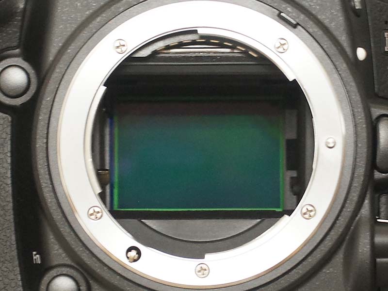 ニコン Nikon D600の徹底レビュー フルサイズ・デジタル一眼レフ