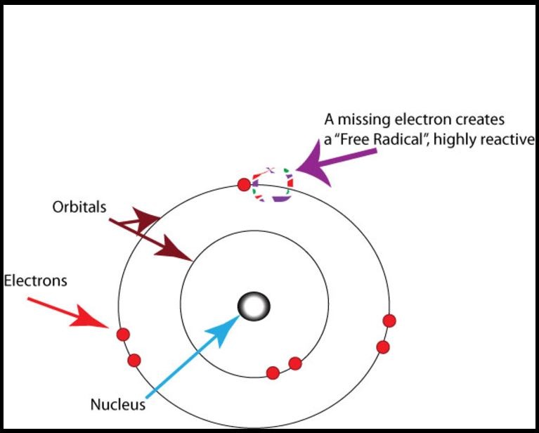 FREE RADICALS AND ITS DAMAGES. – MuLife Resources Malaysia Sdn Bhd