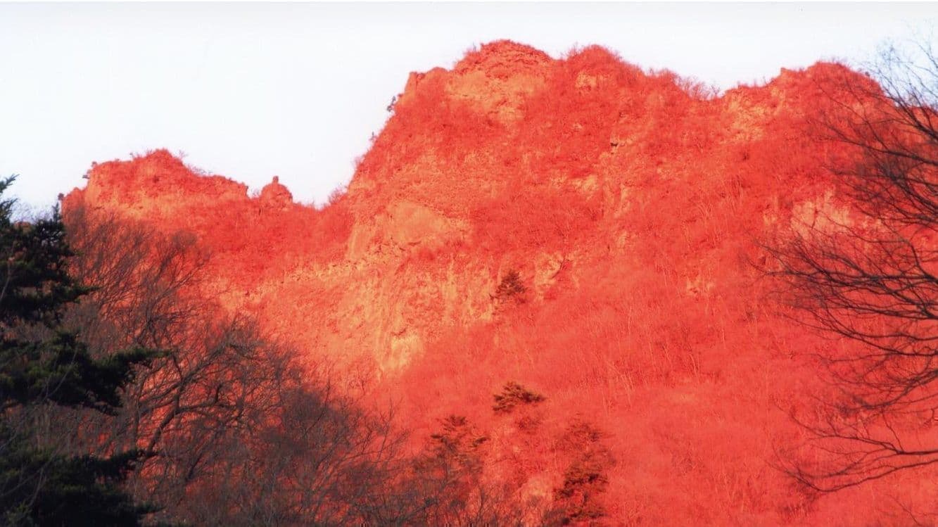 企業情報 | 妙義山麓美術館 公式