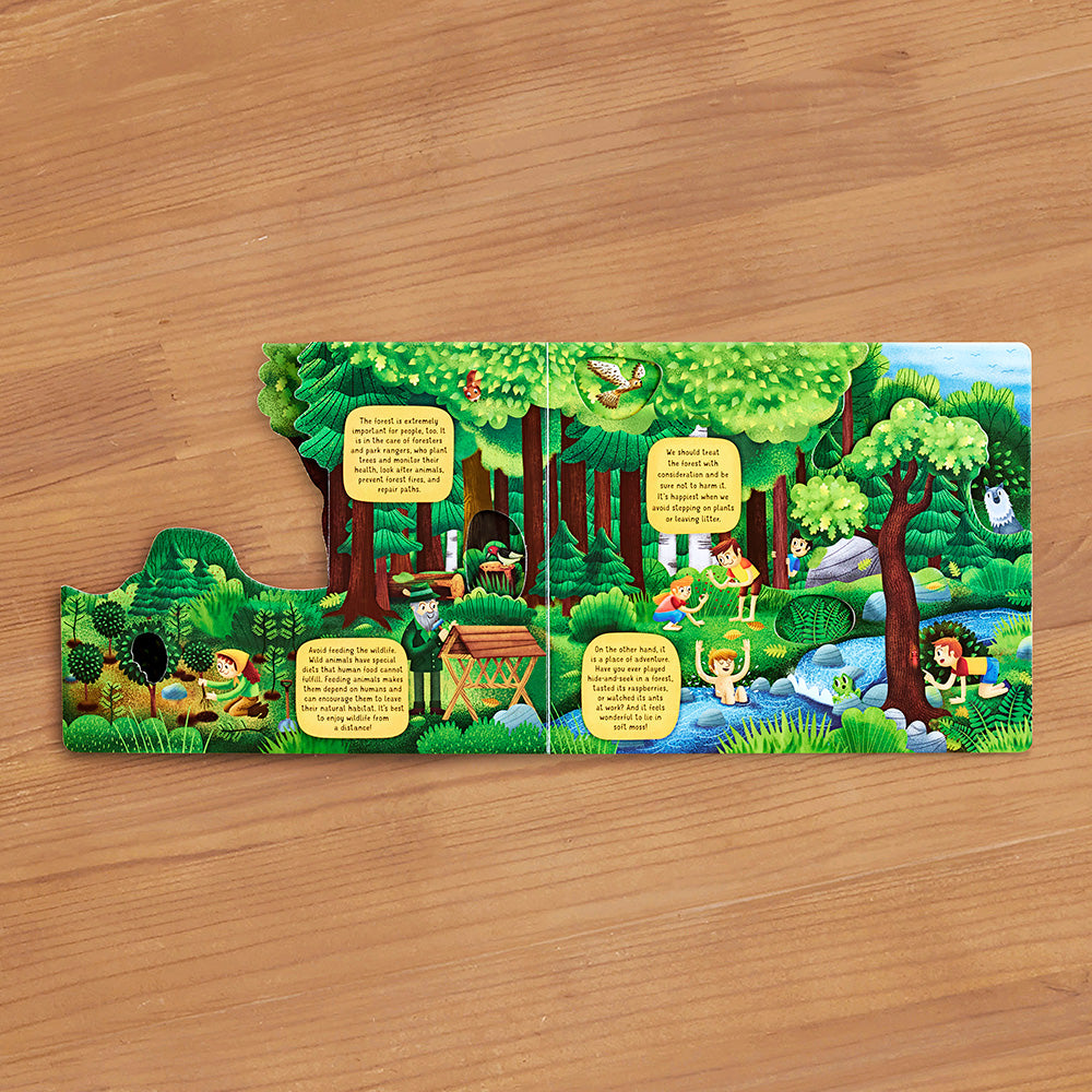 Exploring the Fascinating World of the Forest