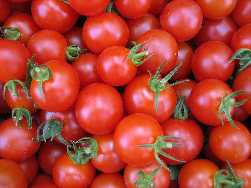 トマト＆ミニトマト｜愛知県碧南市｜ミニトマト・トマトジュースの株式