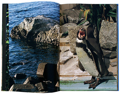 中平卓馬『Documentary』