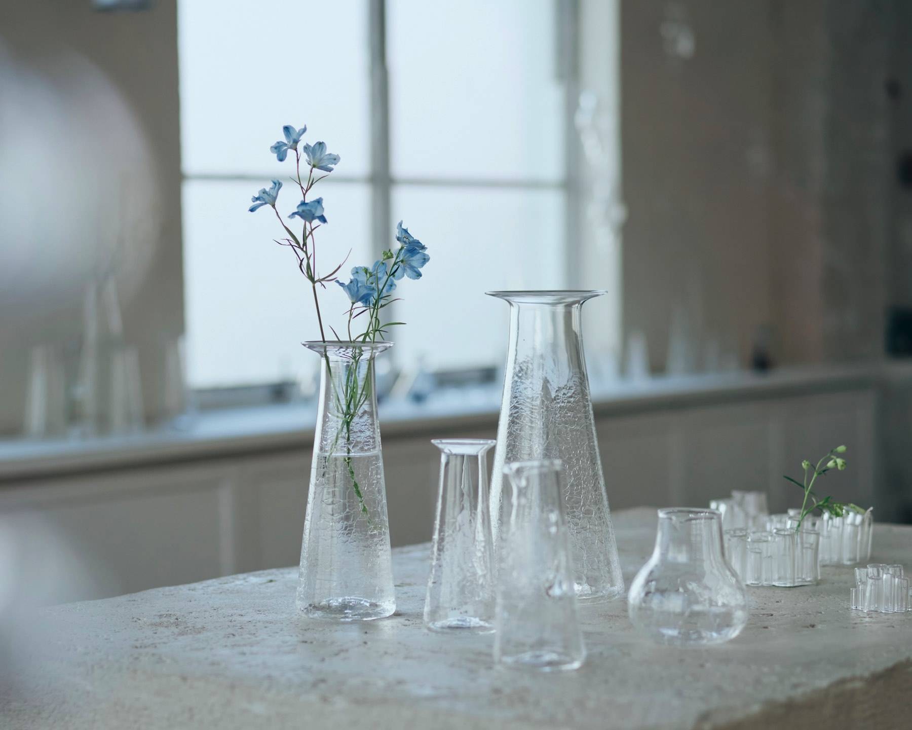 櫻井彩 個展 「Winter Morning」 – Orné de Feuilles