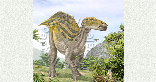 シャントゥンゴサウルス 15-0928-1