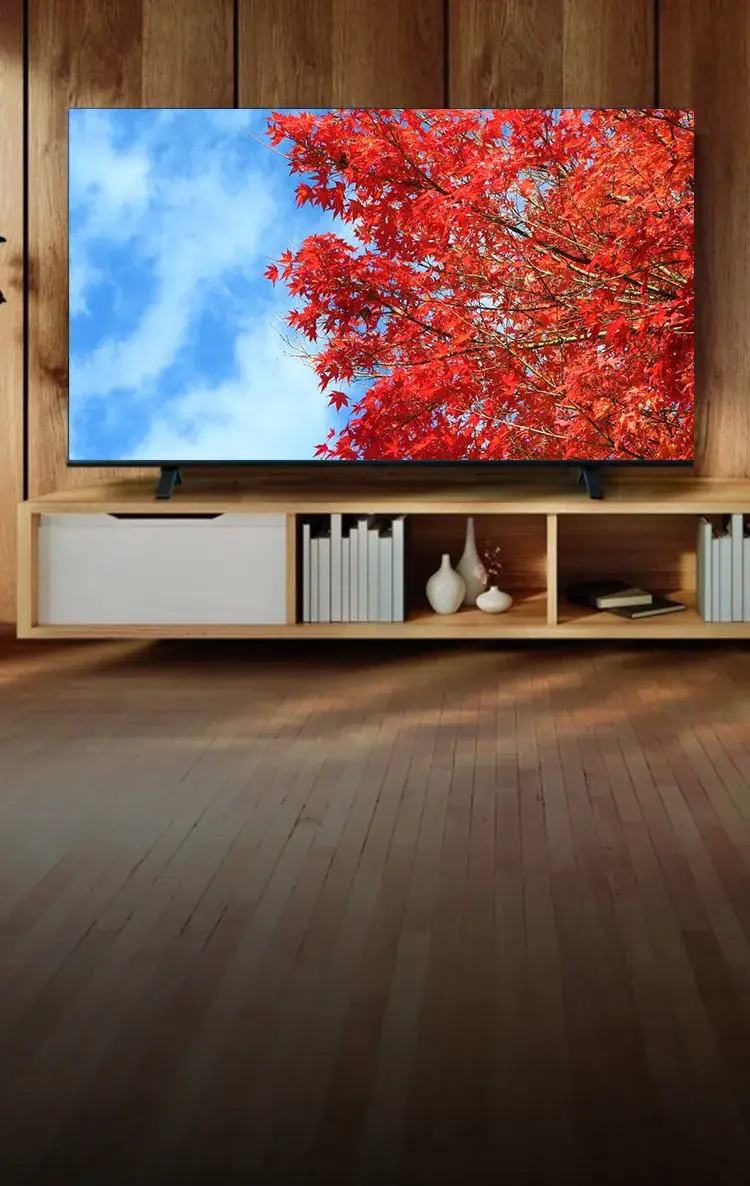 法人向けレグザ C350M series 商品詳細｜TVS REGZA株式会社