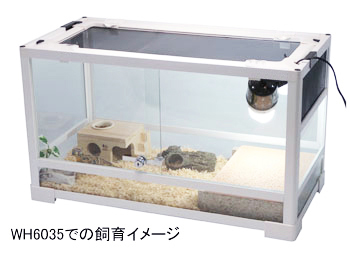 パンテオン ホワイト WH9045 ｜ 株式会社三晃商会