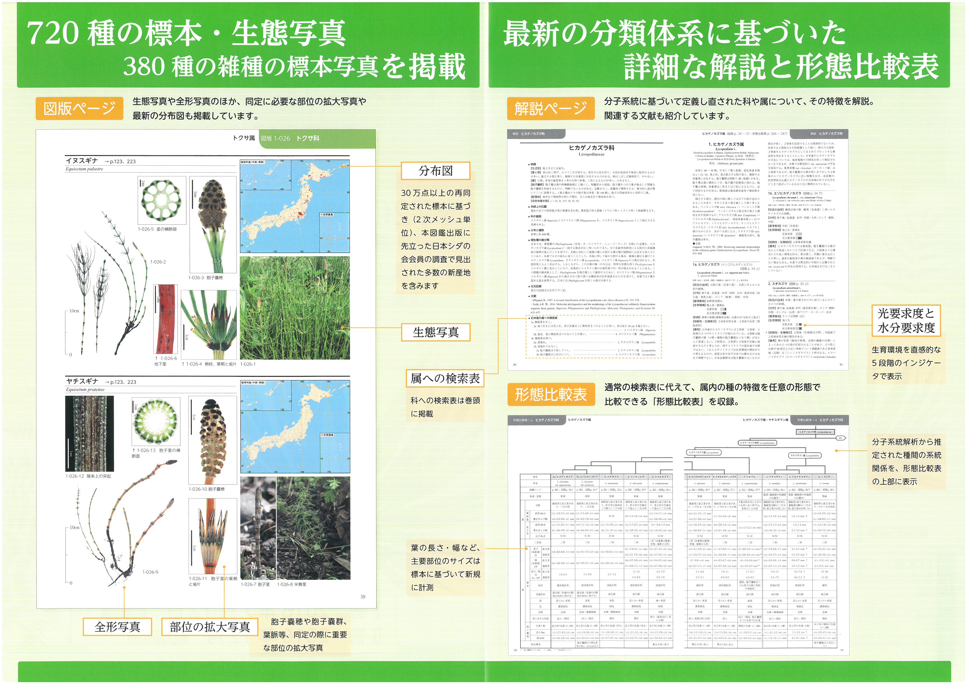 日本産シダ植物標準図鑑 1, 2 | 日本シダの会公式ホームページ