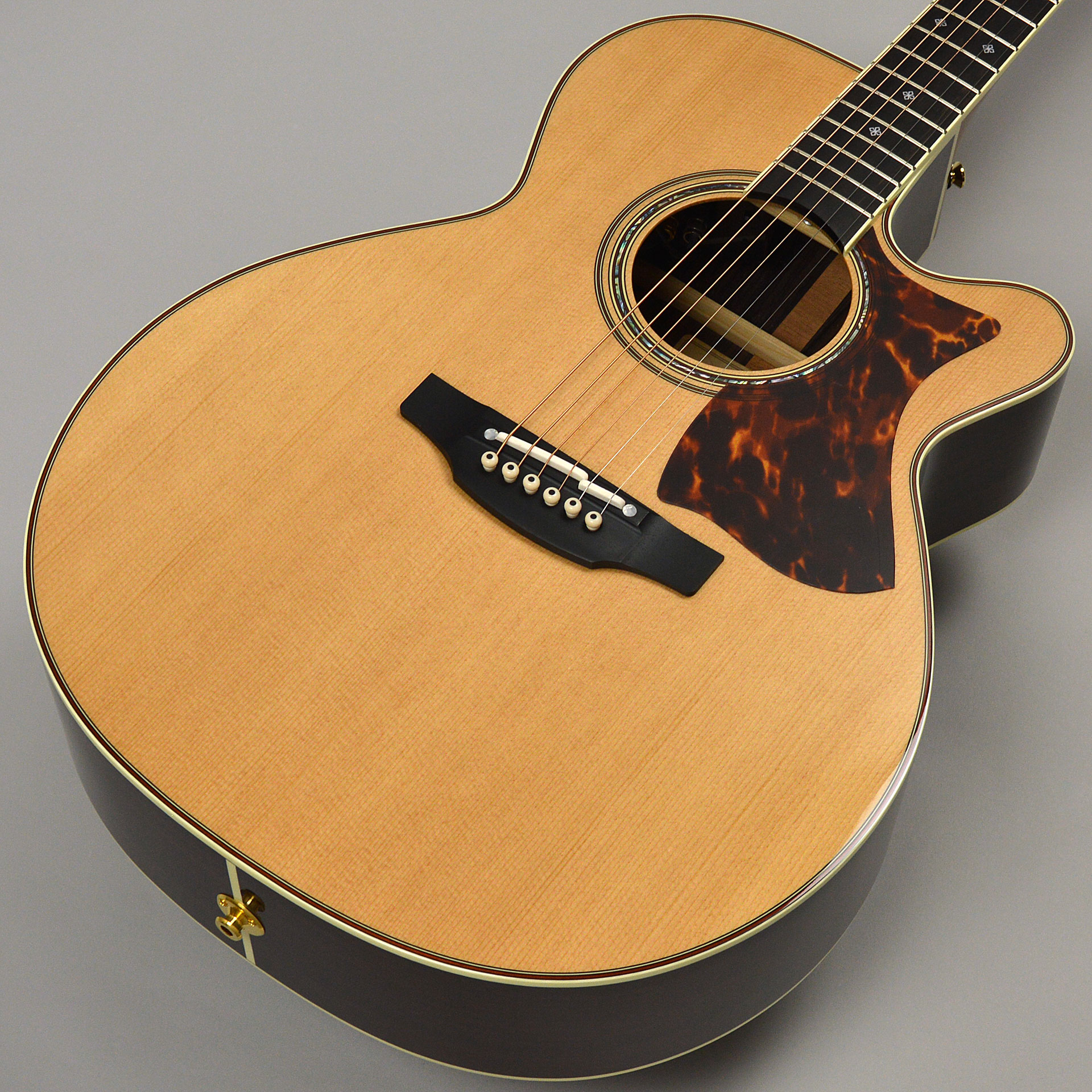 アコースティックギター】Takamine（高峰／タカミネ）エレアコ 特集