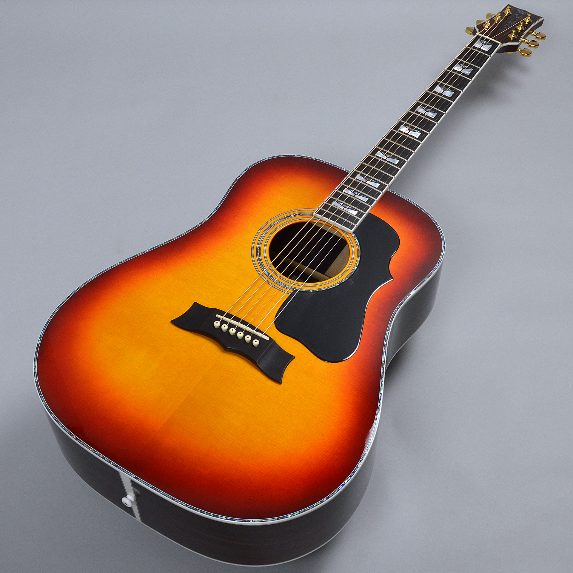 アコースティックギター】特価もあります！MORRIS（モーリス）特集