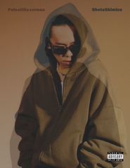 MELODY TOUR 2013 | 清水 翔太 | ソニーミュージックオフィシャルサイト