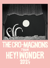 ザ・クロマニヨンズ ツアー 2013 イエティ 対 クロマニヨン【完全生産