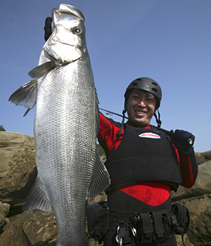 APIA SPARTAS '08風神号 バッカニア120M