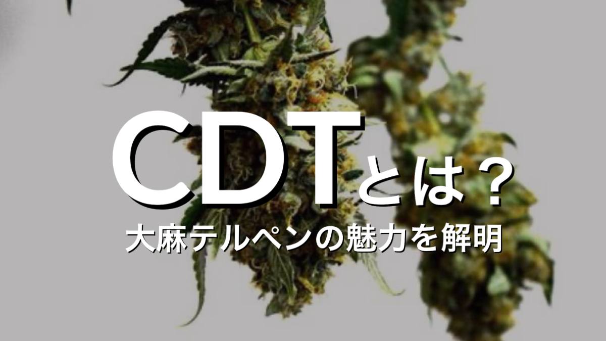 CDTとは？大麻テルペンの魅力を解明 – ウィーディーズ