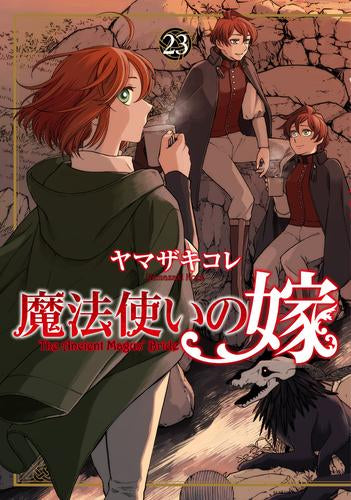 魔法使いの嫁 (1-23巻 最新刊) – world-manga10