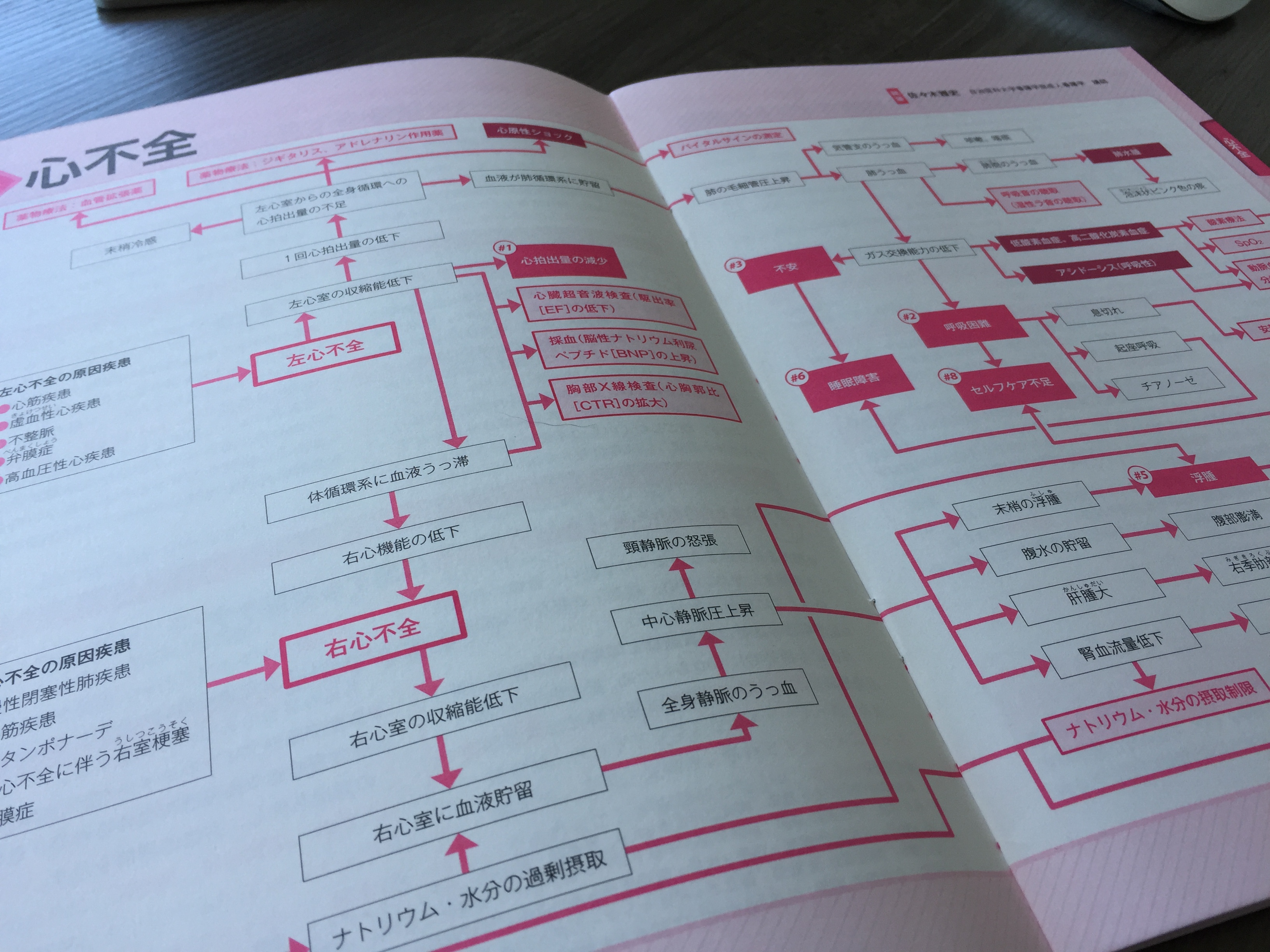 看護実習に役立つ関連図をいちから学ぶ〜病態関連図の見方・書き方