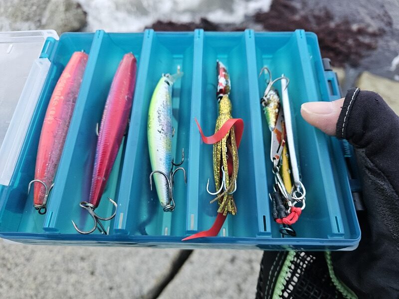 ルアー同士のフックが絡まないルアーケース【ダイワ】リバーシブル