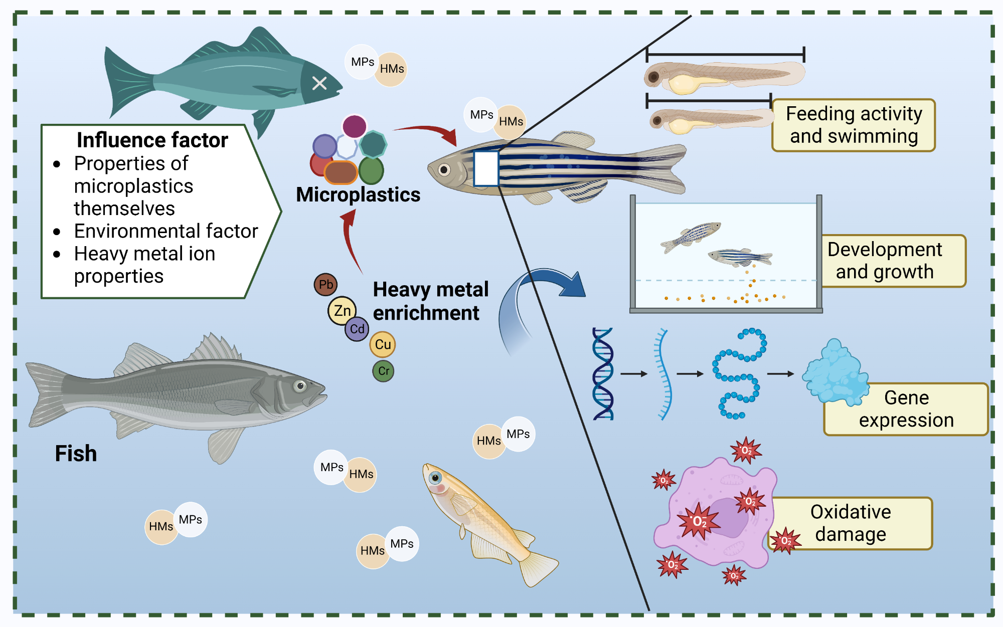 Toxicology of Fishes, 2nd Edition at ₹ 15485/piece | Kalbadevi