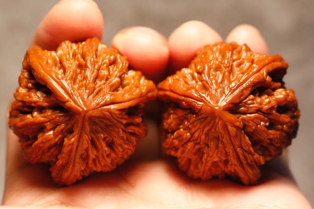 文玩核桃中的“大奔”介绍与真假鉴定方法_搜狐网