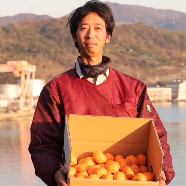 和歌山】潮風を浴びた絶品みかんを熟成！下津みかん3kg(25個前後
