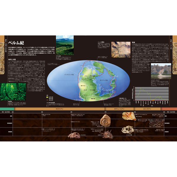 生物の進化大図鑑 通販｜セブンネットショッピング
