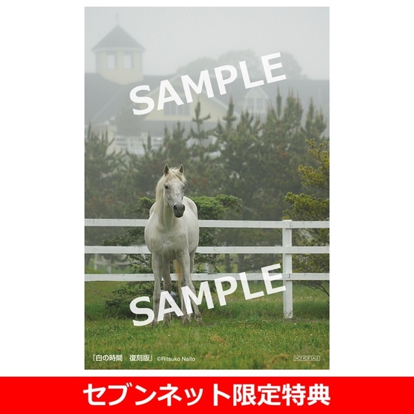 白の時間 復刻版 名馬オグリキャップ引退後二十年の日々【セブンネット