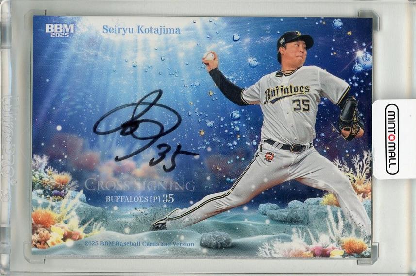 超希少超激レア】8ビット ミュージック パワー 直筆サイン入り B2