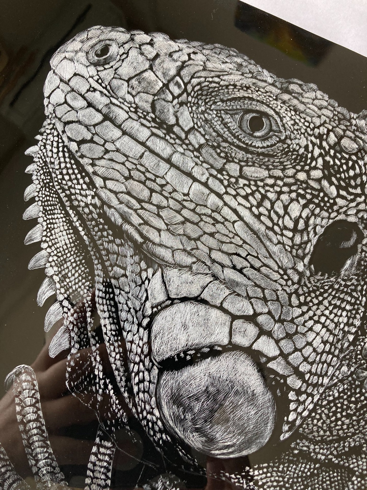 Monochrome -iguana