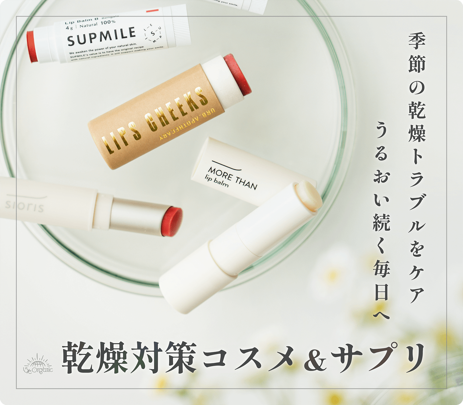 15/e organic フィフティーンオーガニック