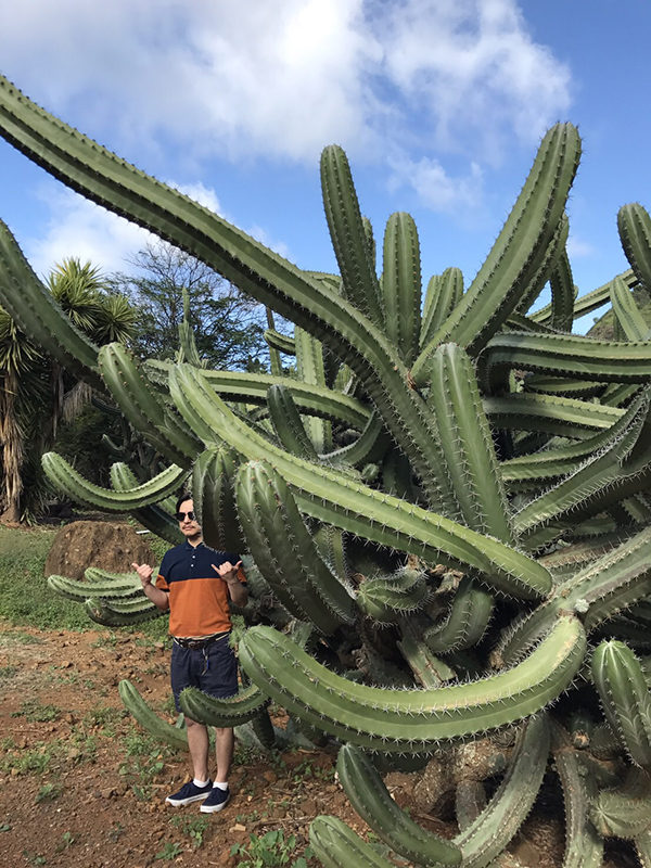 HALFBYの名盤『innn HAWAII』、リリースから3年の時を経てカセット化