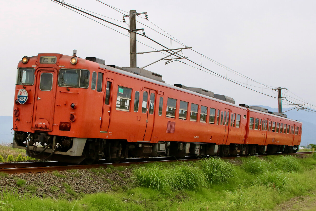 JR四】「キハ47気動車でゆく復刻うわじま号の旅-しまなみ編- 」 |2nd