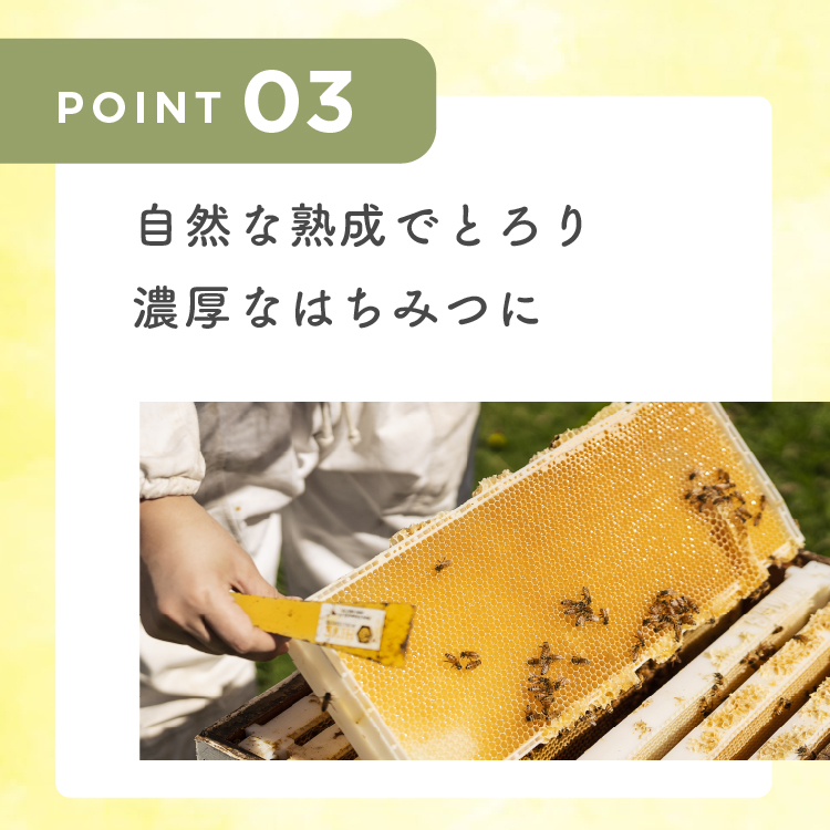 はちみつ - 369Terrace みろくてらす