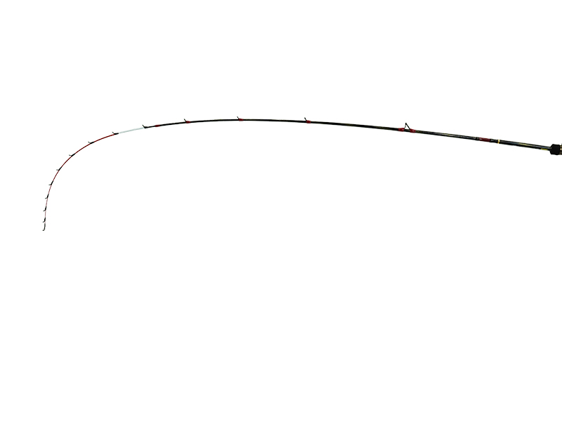 極鋭 マルイカ EX RS(ロッド)｜DAIWA