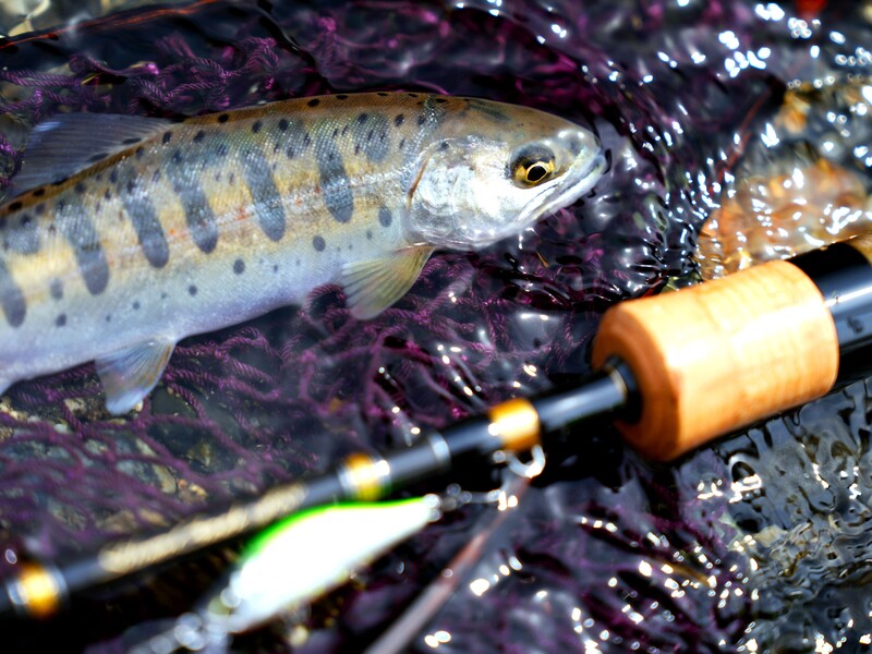 シルバークリーク Aurum(ロッド)｜DAIWA