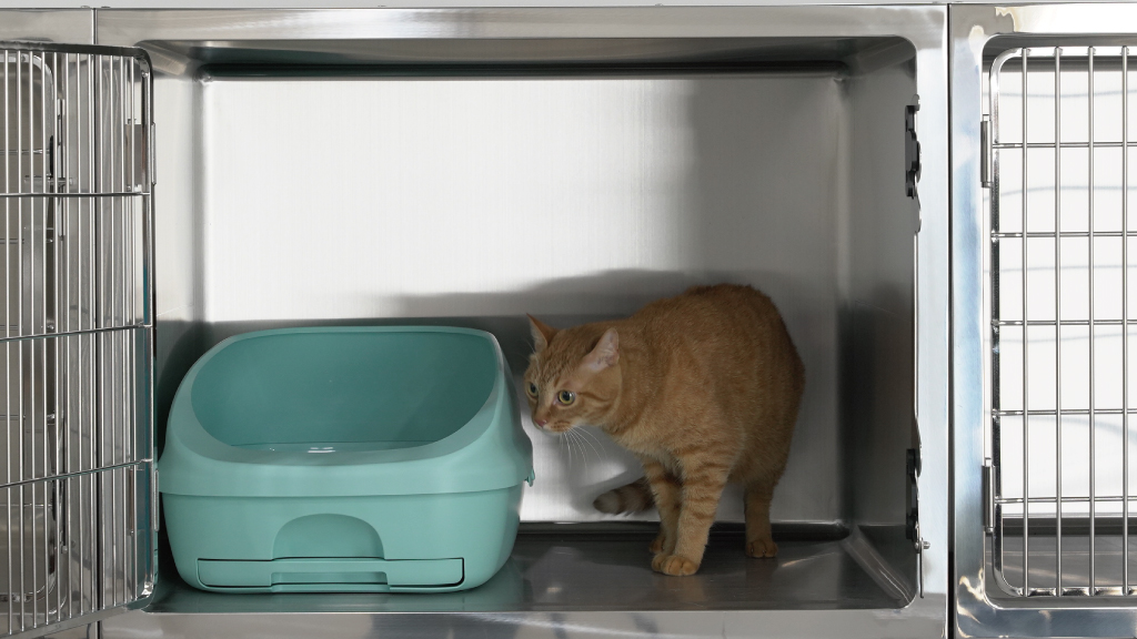 ミライケージ 猫用｜ステンレスケージ｜動物用医療機器メーカー東京