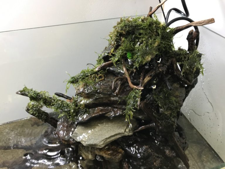 滝のあるアクアテラリウム水槽の作り方！画像でわかる・総まとめ｜東京