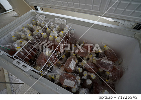 廃墟 シゲタ動物薬品工業 バイオハザード研究所 富山県小矢部市 の写真