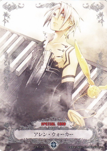 D.Gray-manトレーディングカードゲーム(204枚)