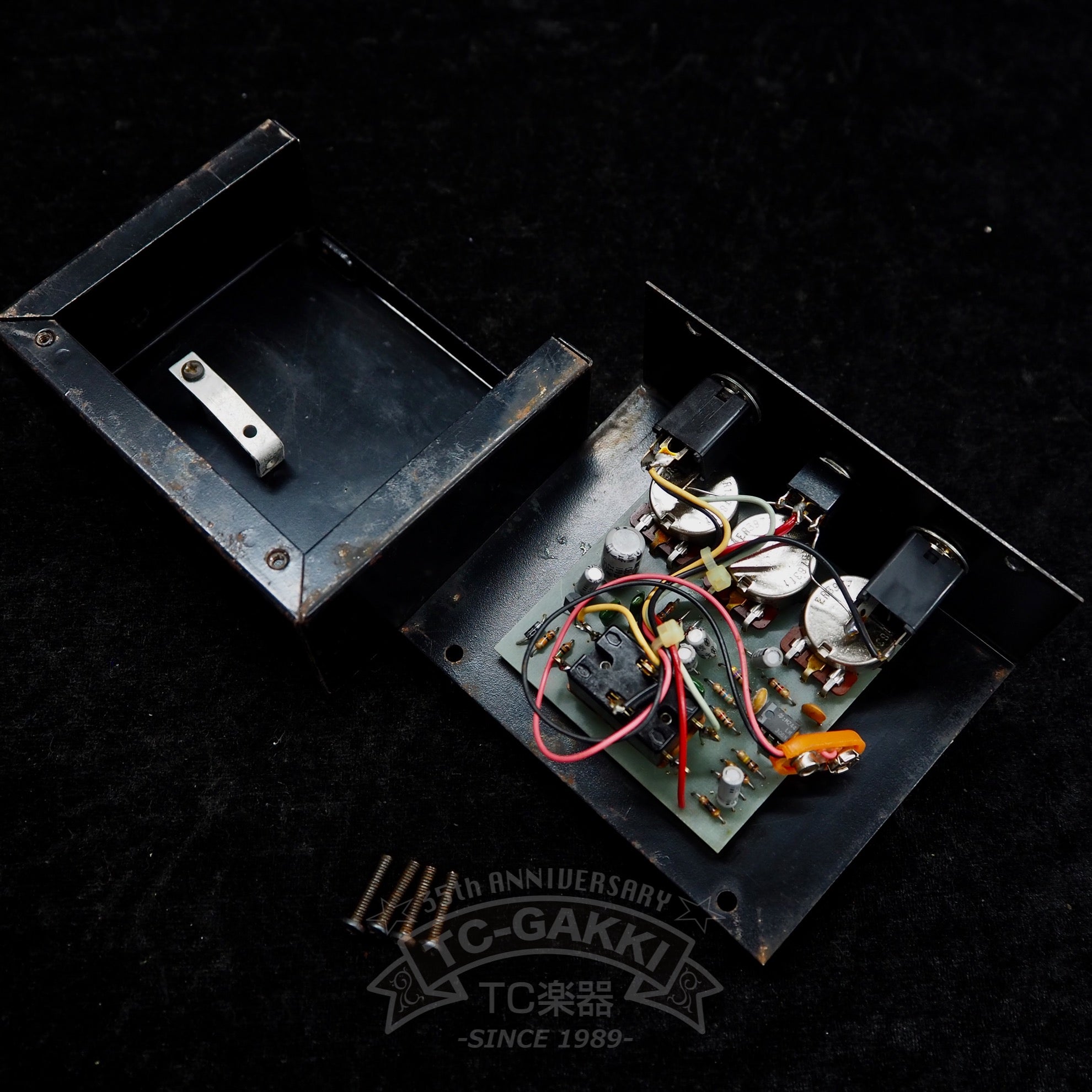 The Rat w/FILTER “Large Case”